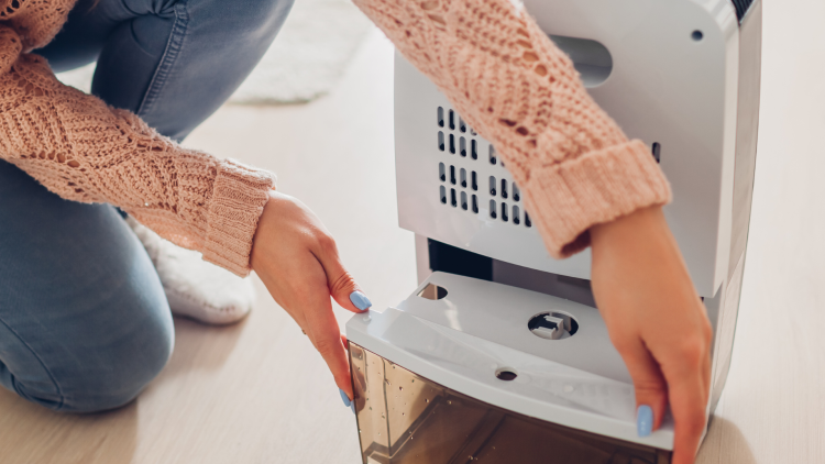 Come sfruttare il tuo deumidificatore nei mesi invernali 