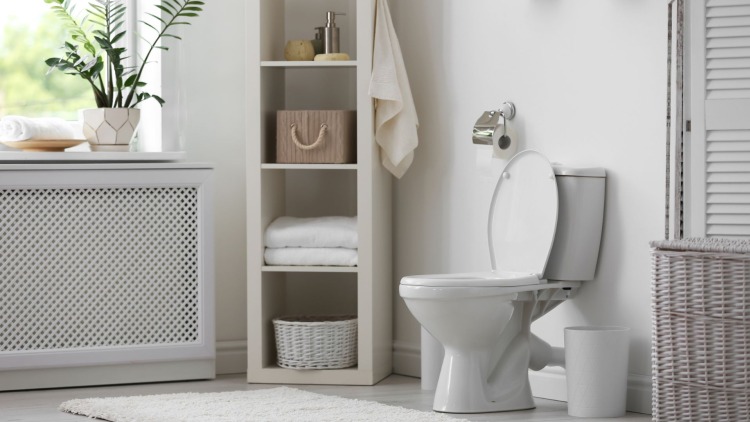 Tavoletta WC ingiallita: rimedi per sbiancarla