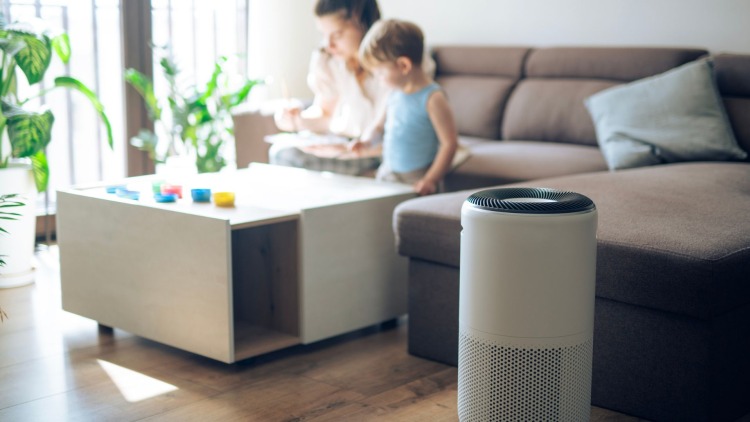 Purificatore d'aria: scopri come respirare meglio