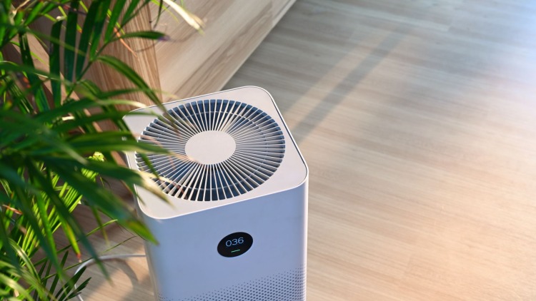 Gestire l'umidità in casa: come usare umidificatore e deumidificatore per un microclima perfetto