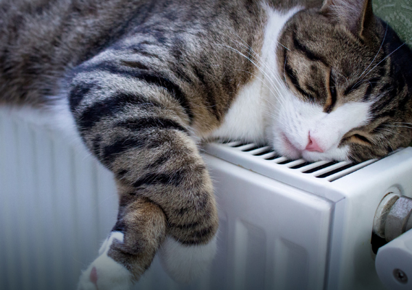 Radiatori elettrici: quando calore è sinonimo di vantaggi